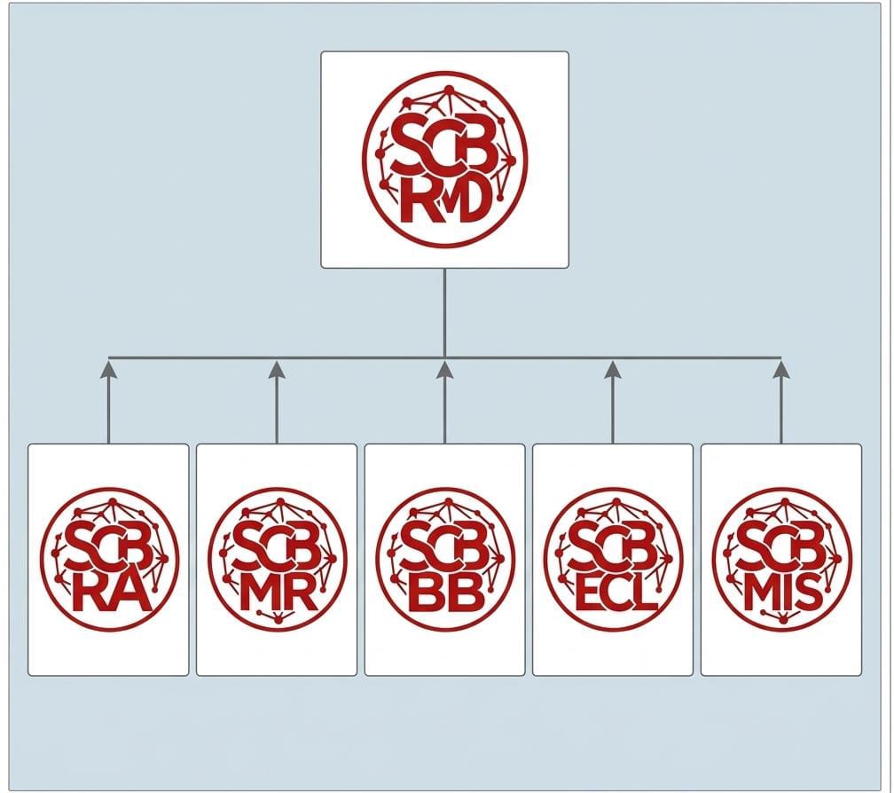 RMD 組織架構圖